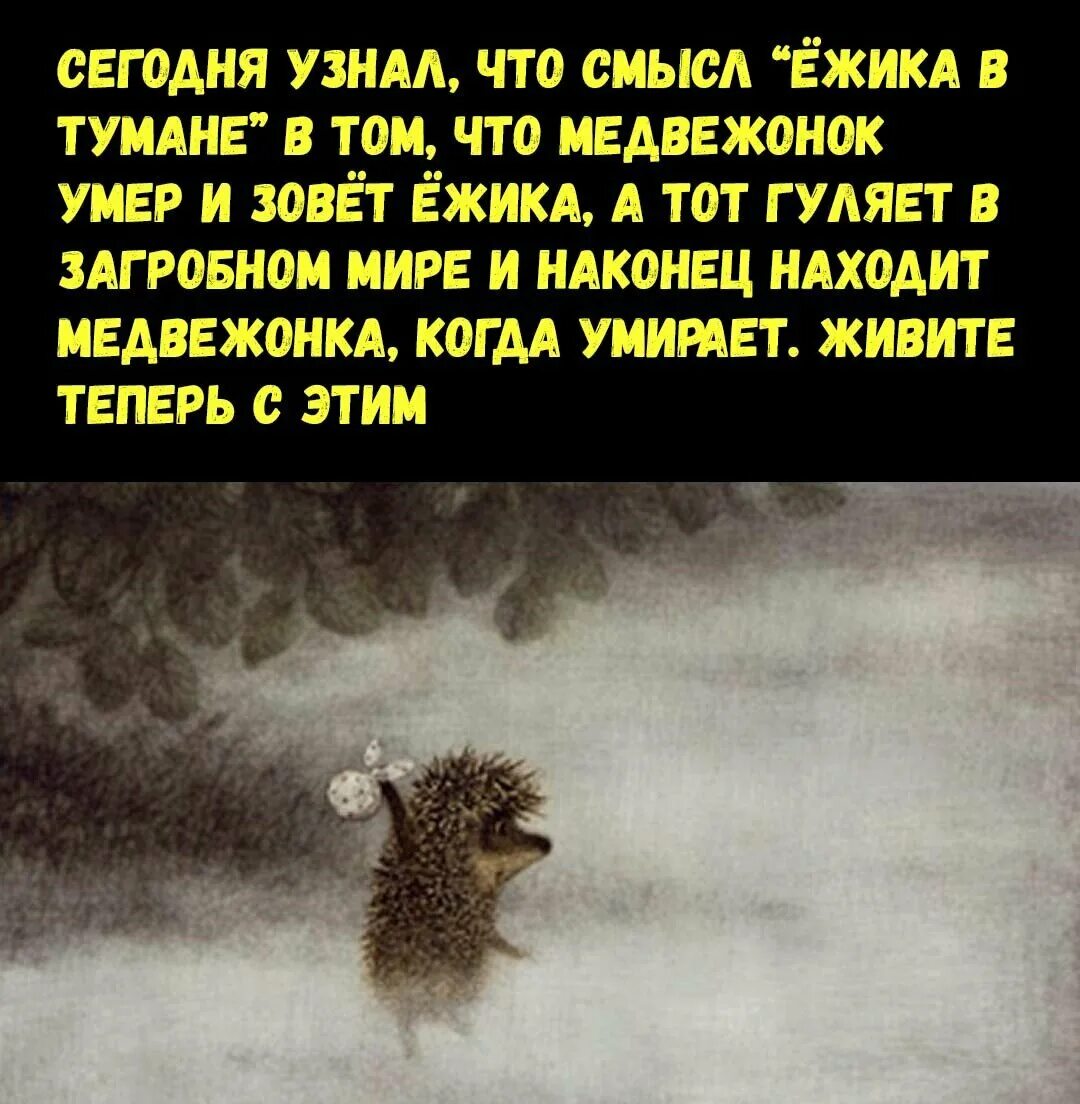 Ежик в тумане цитаты. Ежик в тумане фразы. цитаты из ежика в тумане. ежик в тумане крылатые фразы.