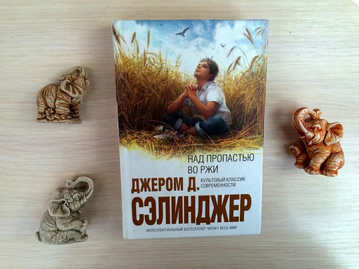 Над пропастью во ржи читать. Над пропастью во ржи книга. над пропастью во ржи интеллектуальный бестселлер. над пропастью по ржи издательство. над пропастью во ржи цитаты.