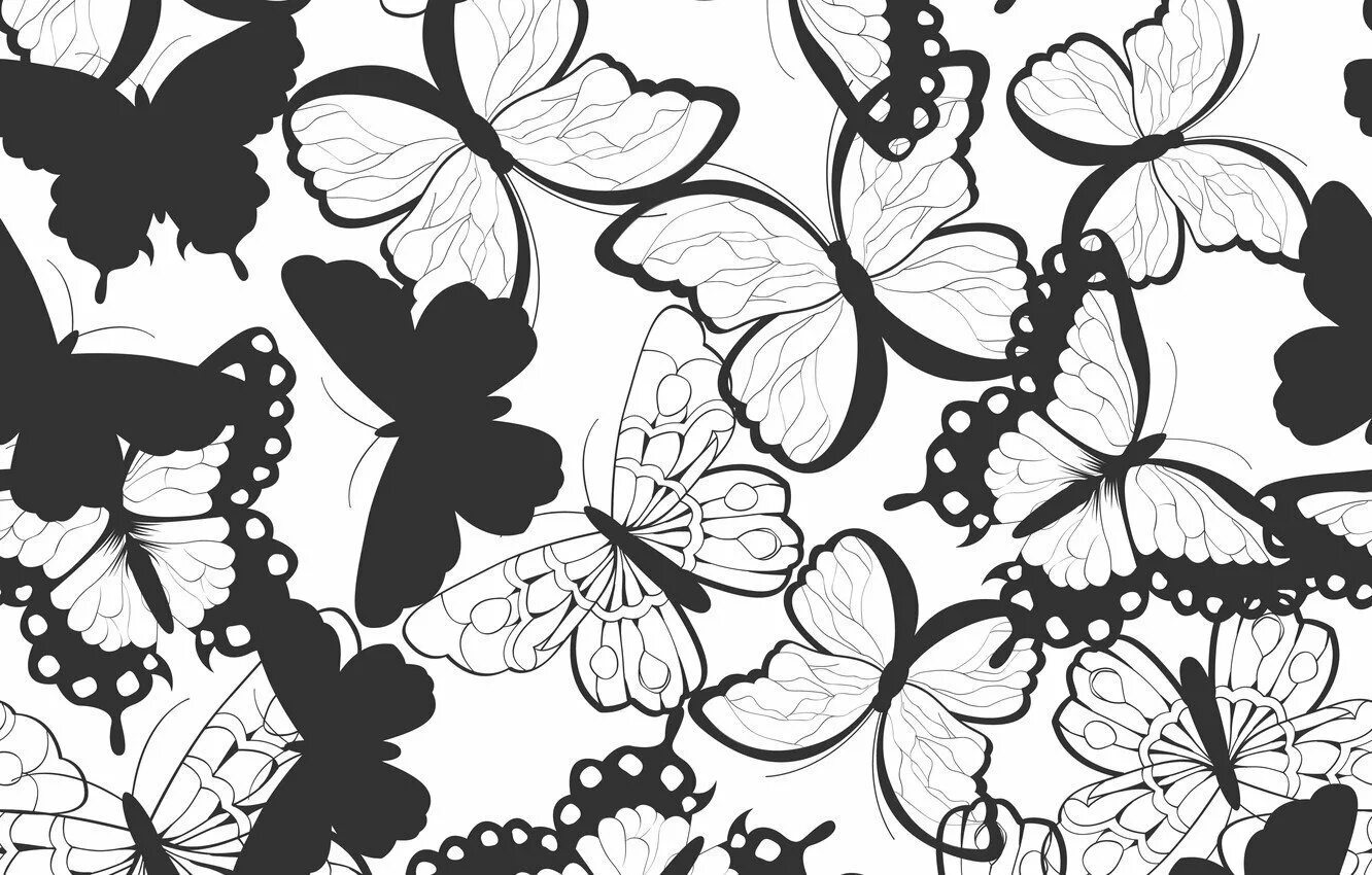 Как называется черный рисунок. Узоры бабочки. Черно белые узоры. Красивый чёрно белый фон. Черные обои с бабочками.