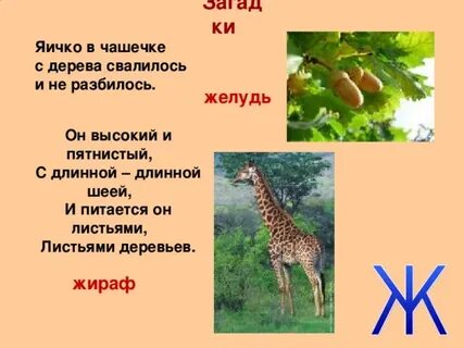 Закончиться ж