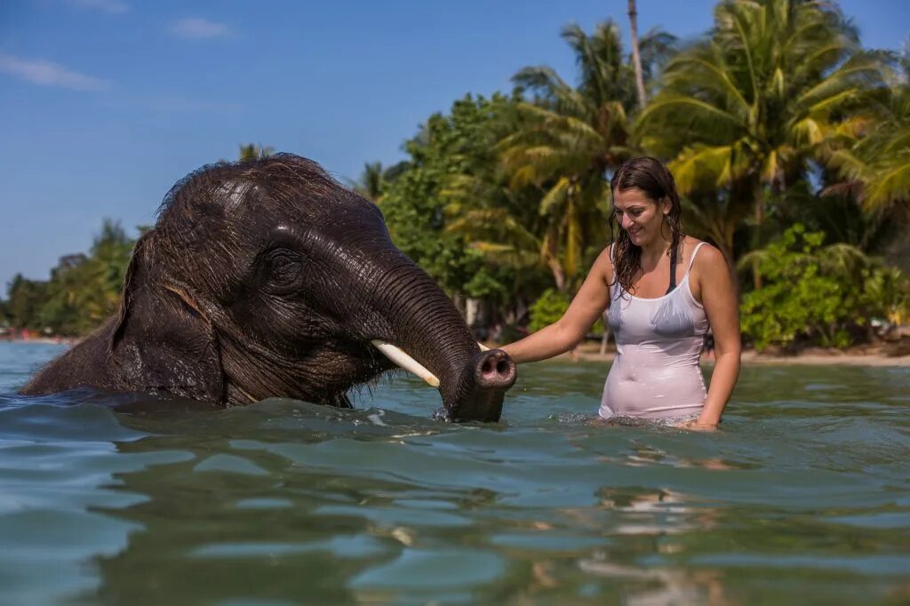 Swimming with my Elephant sister (Part 2). Elephant Tourism – why you shouldn’t Ride Elephants on your gap year. Swimming with Bubbles the Elephant камера лутка девушка. Sister elephant