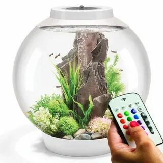 Аквариум с доставкой