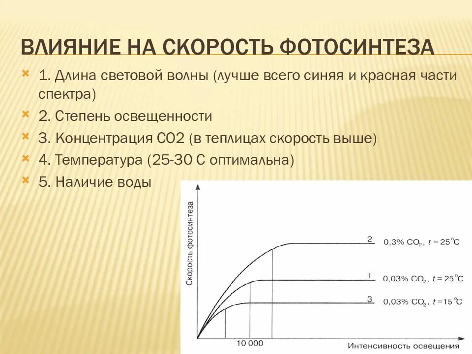 Реакция организмов на длину светового дня