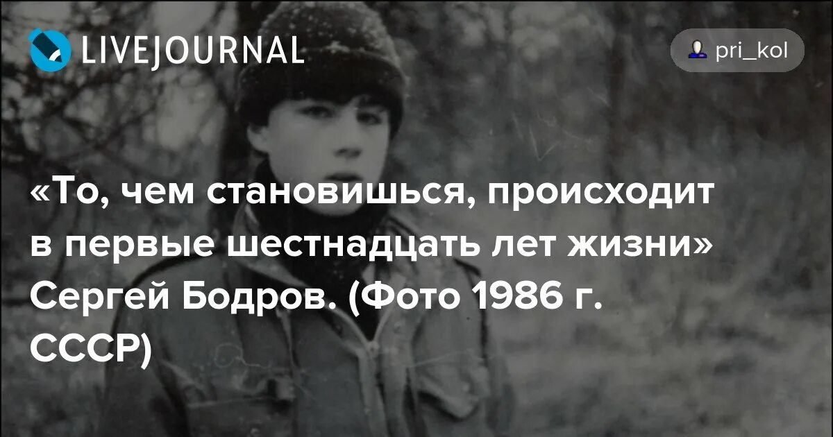 Цитаты Сергея Бодрова. Бодров о войне цитата. Высказывания Сергея Бодрова.