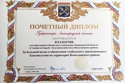 Что выше почетной грамоты