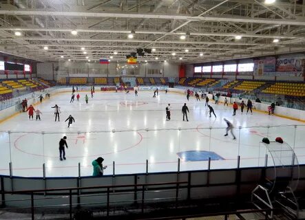 Каток сокол