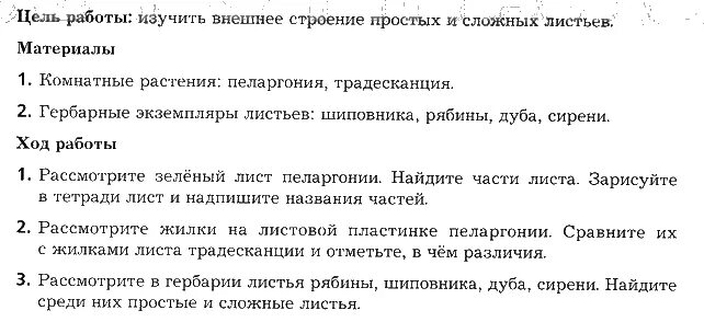 Биология 6 класс стр 143 вопросы. Лабораторная строение листа. Лабораторная работа строение листа. Внешнее строение листьев лабораторная работа. Лабораторная работа строение листьев.