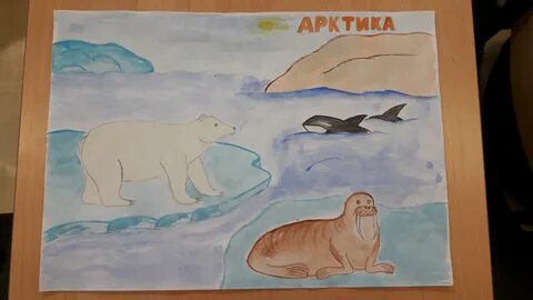 Мир арктики рисунок