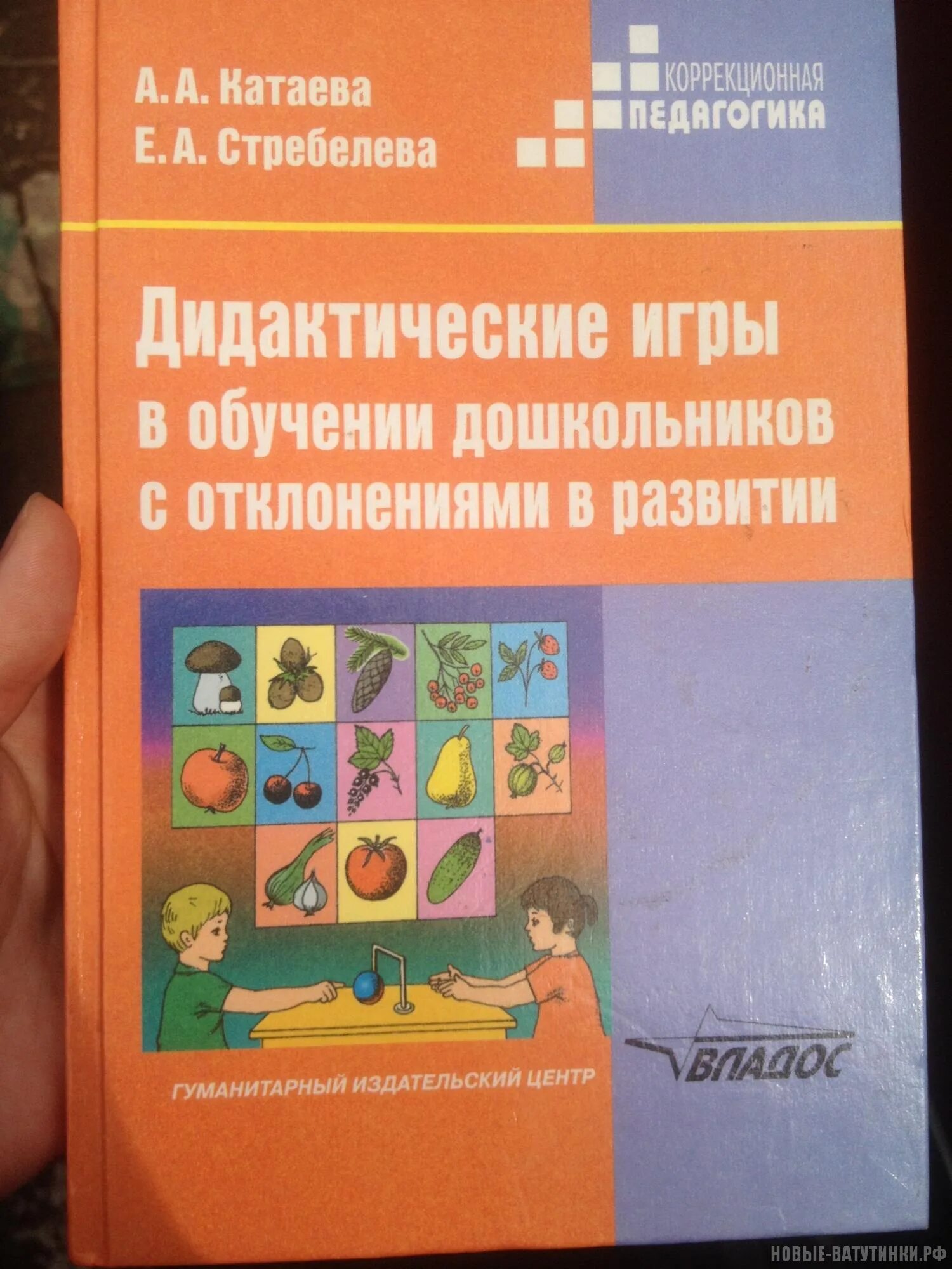 Учебное дидактическая. Стребелева Елена Антоновна. Катаева дидактические игры. Стребелева Катаева дидактические игры. Пособия для ЗПР дошкольного возраста.