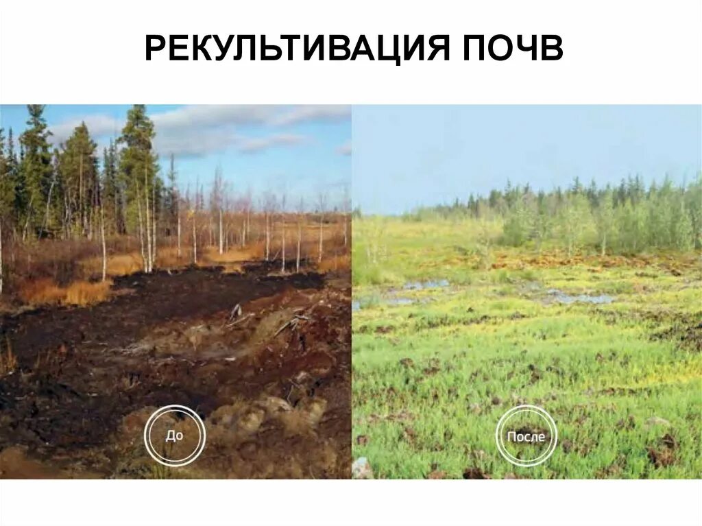 Рекультивация земель является примером. Рекультивация почвы на севере. рекультивация земель до и после. сорбенты для рекультивации. рекультивация земель с рожью.