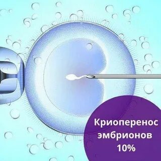 Криоперенос поздняя имплантация