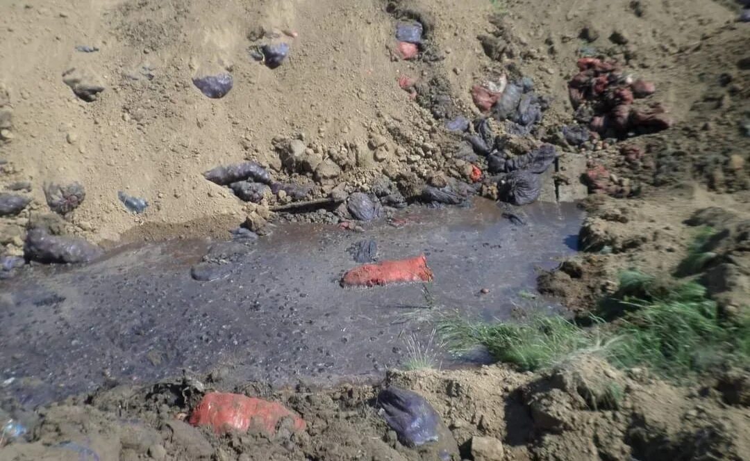 Погода в нагавской рп5. Школа нагавская котельниковский. Нагавский хутор. Станица нагавская волгоградская область. Погода в нагавской котельниковского.
