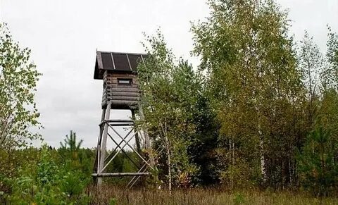 Вышки на кабанов