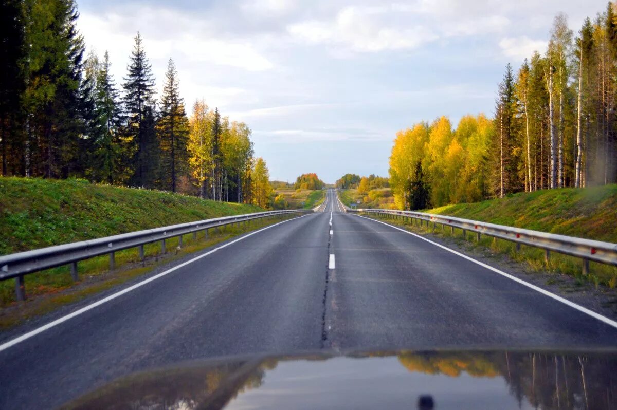 Мс дорога. М8 дорога Тобольск. Автострада м8 Холмогоры Архангельск. Трасса Москва Архангельск м8. Красивые дороги.