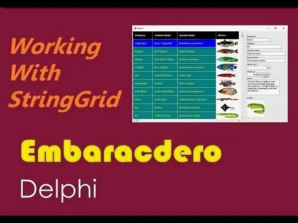Stringgrid builder. Stringgrid builder