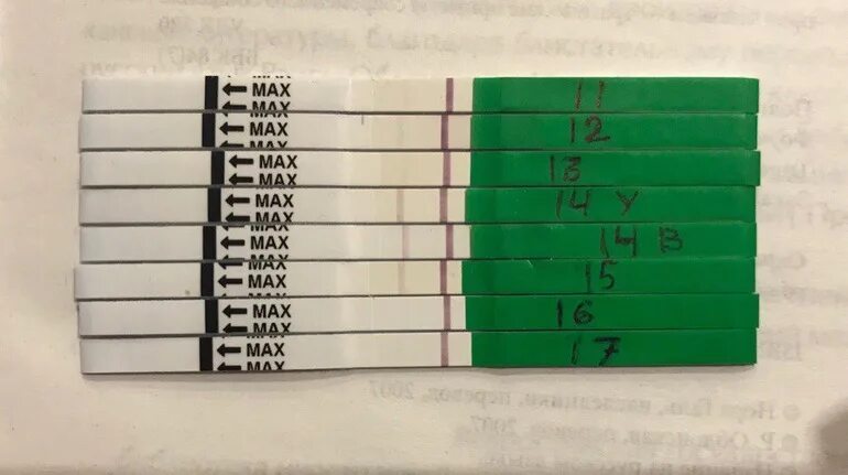 Вторая полоска на тесте овуляции бледная