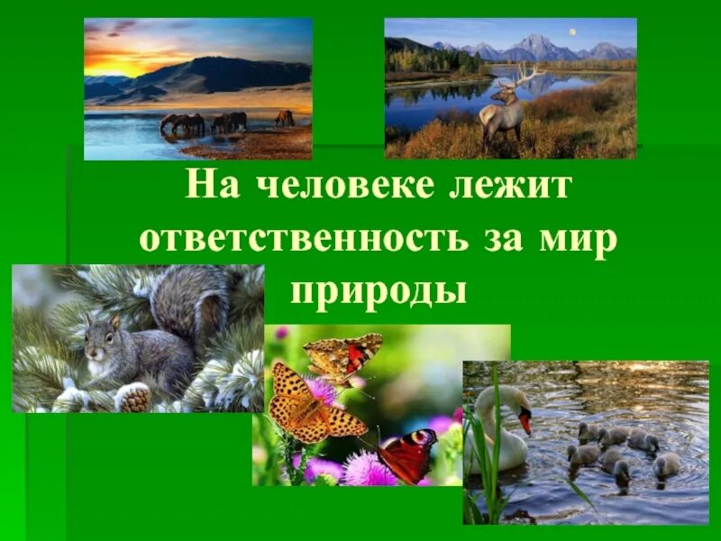 Отношение христианина к природе презентация. Сообщение о Христианское отношение к природе. Отношение хрисьианина к пррод. Проект отношение христианина к природе.