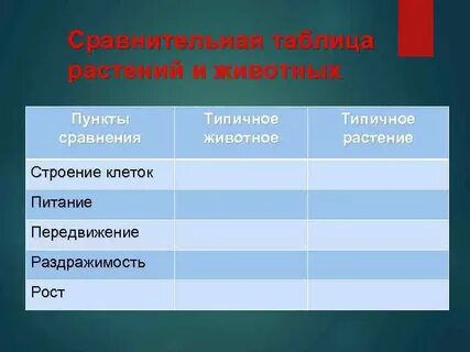 Пункт сравнения