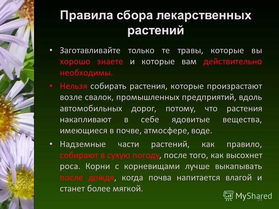 Лекарственные растения. Лекарственные растения лекарственные растения. Сырье лекарственных растений. Гербициды для картофеля. Лрс обладающие гипогликемическим действием.