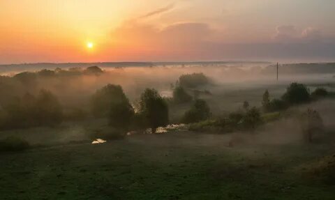 Рассвет брянск