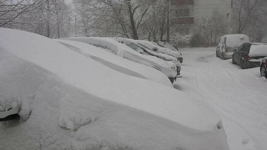 Атмосферные осадки выпадающие из облаков. Явления природы снег. Процесс выпадения снега. Интенсивность осадков видимость. Насыпная плотность снега.