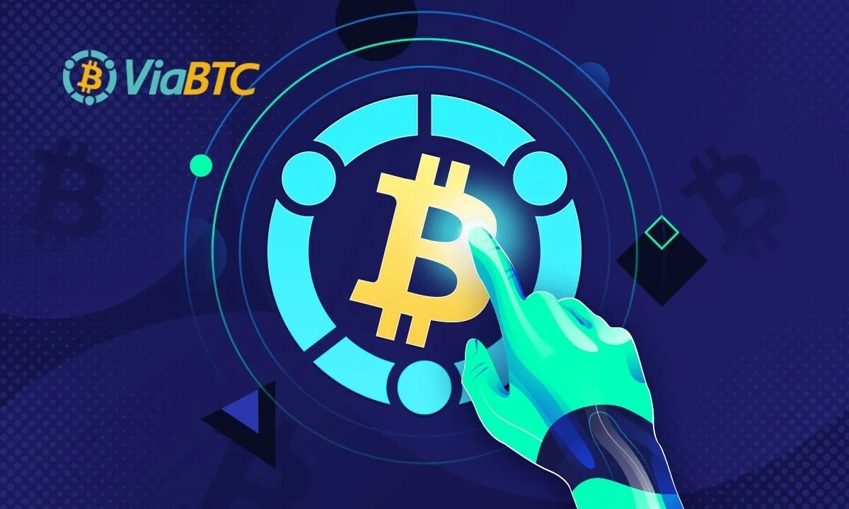 Пул via btc. Пул viabtc. viabtc.net. viabtc 50%. настройка пула viabtc.