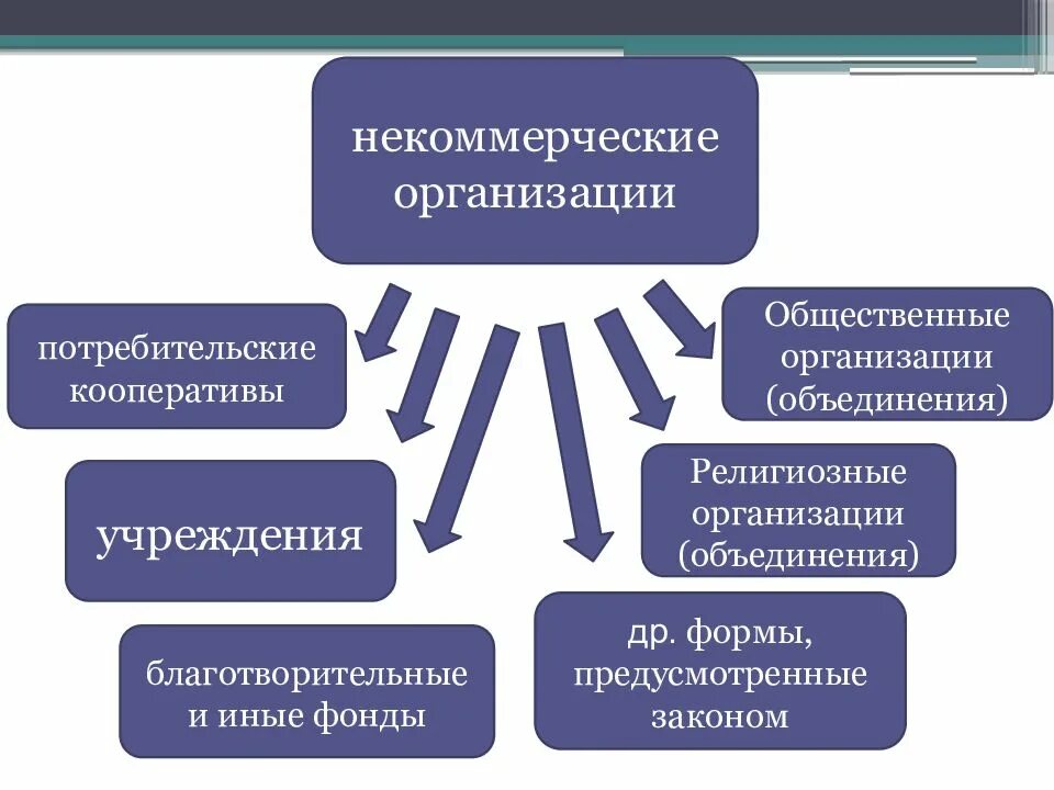 Муниципальная некоммерческая организация