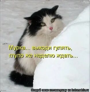 Выйду весело