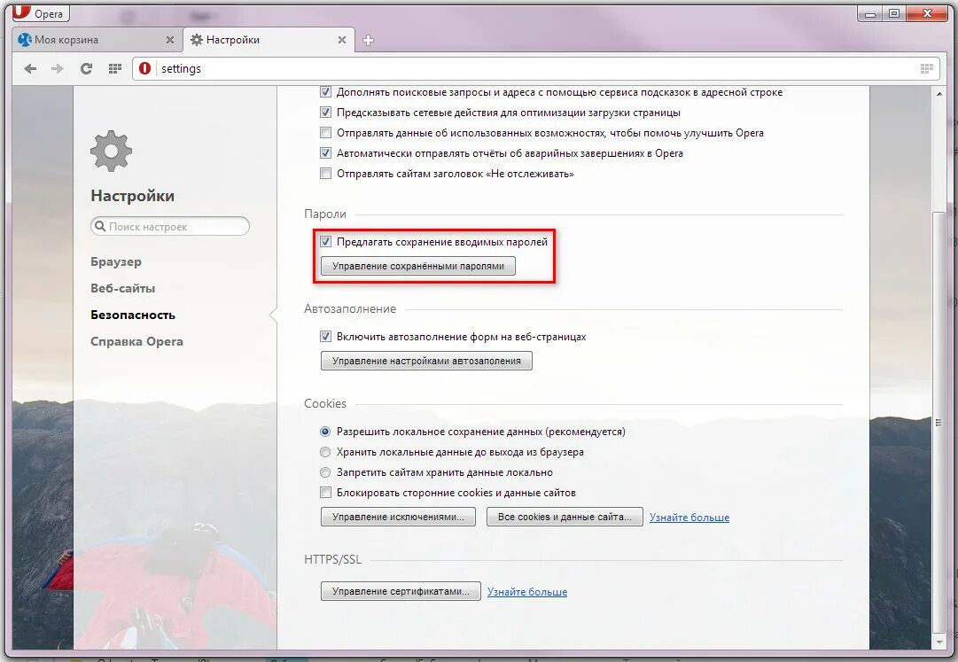 Сохранение паролей в браузере. Сохраненные пароли в браузере опера. Сохранение паролей в опере. Сохранение паролей в Opera. Не сохраняются пароли в браузере