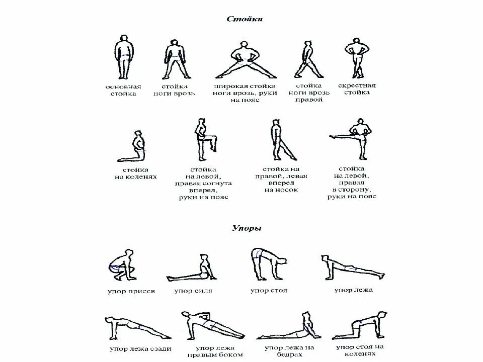 Гимнастическая терминология стойки. Общеразвивающие упражнения комплекс №1. Перечень упражнений основной гимнастики. Термины общеразвивающих упражнений в гимнастике.