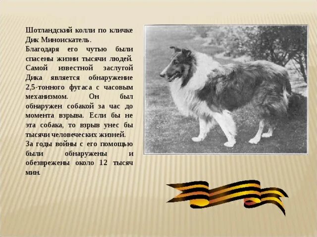 Книга с наклейками "К. Чуковский. Айболит" купить в интернет магазине Растишка в
