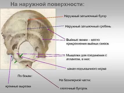 Канал латынь