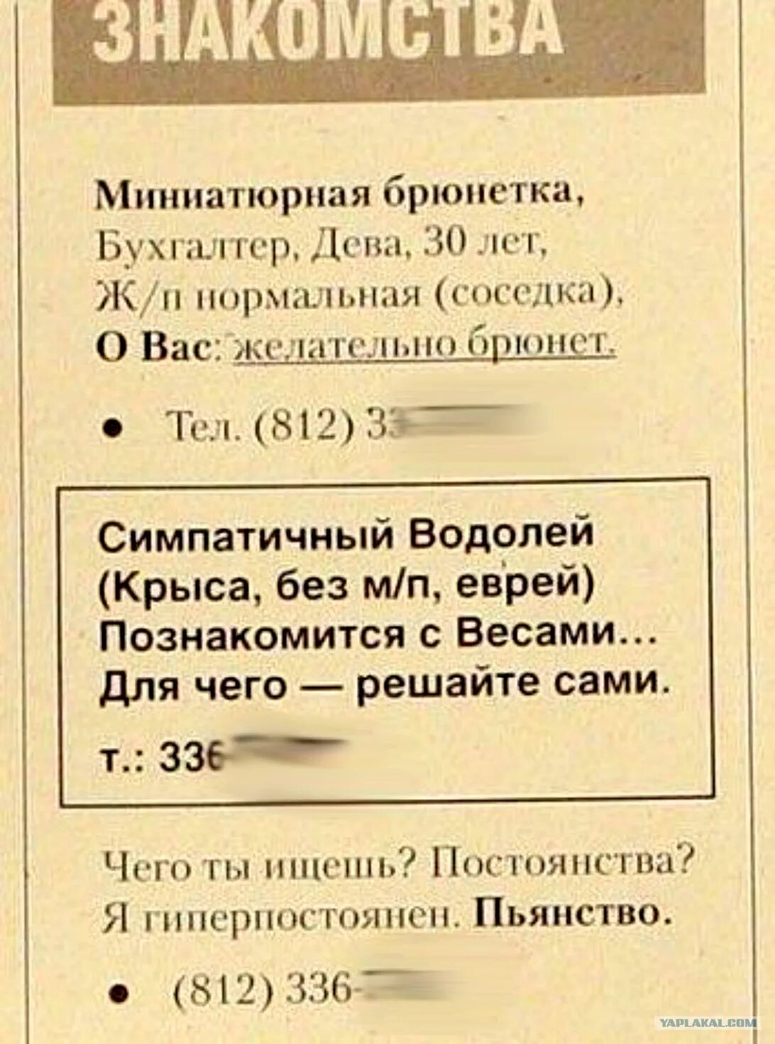 Объявление о знакомстве с мужчиной. Прикольные брачные объявления. Смешные объявление из 90-х. Смешные брачные объявления. Прикольные брачные объявления с деньгами.