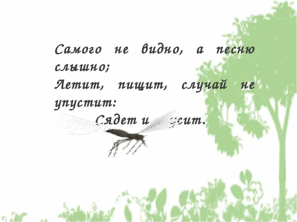Летит пищит сядет