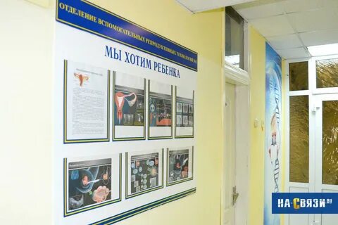 Президентский центр чебоксары