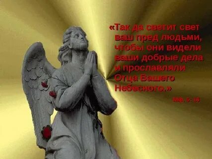 Ангел милосердия