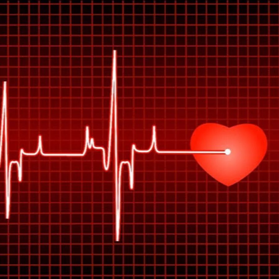 Сердцебиение девушки. Пульс. Пульс сердца. Пульсация сердца. Кардиограмма сердца.