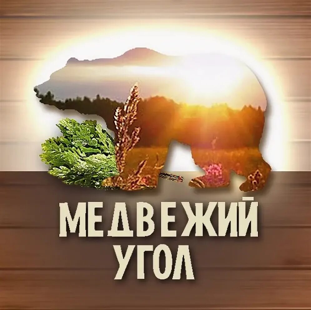 Медвежий угол. Медвежий угол Рязань. Сауна Медвежий угол. Медвежий угол картинки. Медвежий угол аудиокнига слушать