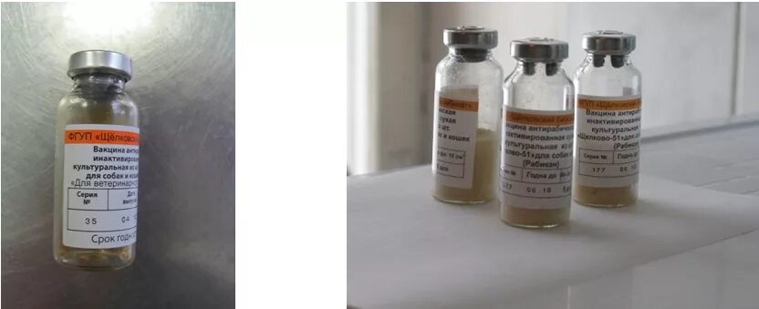 Туберкулинизация крс читка реакции. Аллергическое исследование на туберкулез крс. Реакция на туберкулин крс. Ппд туберкулин для млекопитающих. Туберкулин флаконы 10 мл.