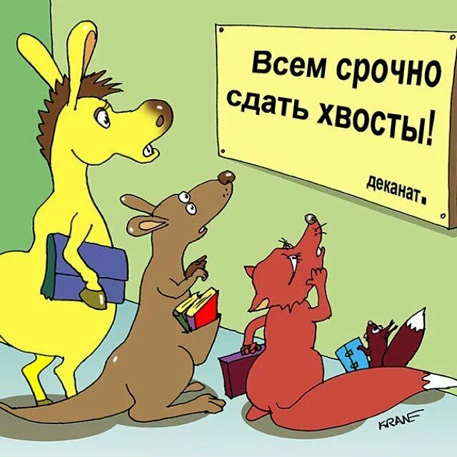 Рубить хвосты. Студент карикатура. Сдать хвосты. Всем срочно сдать хвосты. Студент с хвостами.