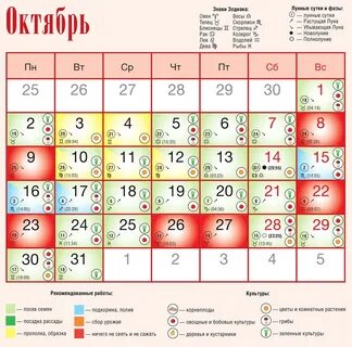 20 октября лунный календарь