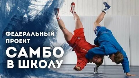 Проект самбо в школу