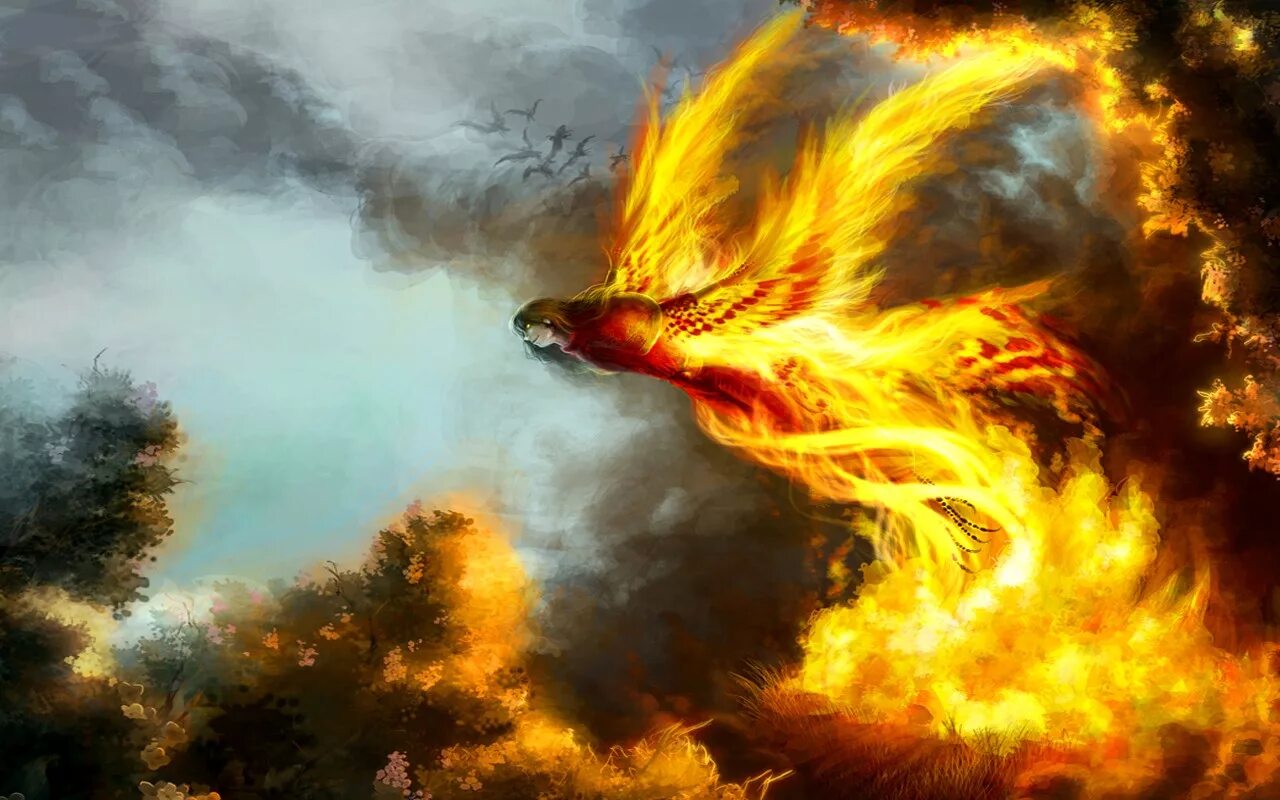 Феникс огненных гор. Огненный дракон. Дракон в огне. Огненная птица. Птица Феникс и дракон.