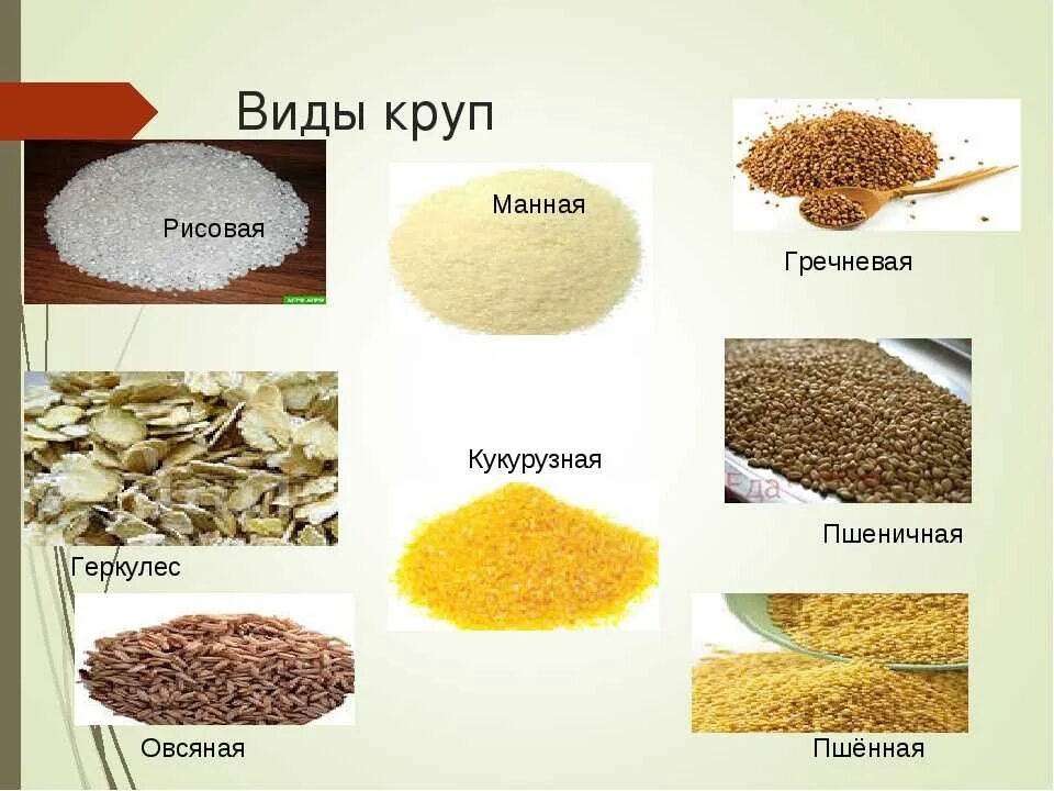 Крупы. Крупы виды. Крупы из пшеницы названия. Крупа типа пшенки.