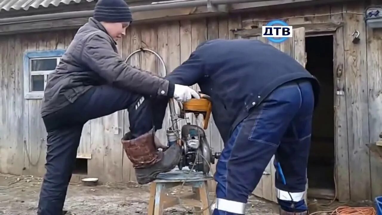 Как завести холодную бензопилу. Бензопила дружба завести. завести бензопилу без стартера. заводит пилу. как завести бензопилу дружба.