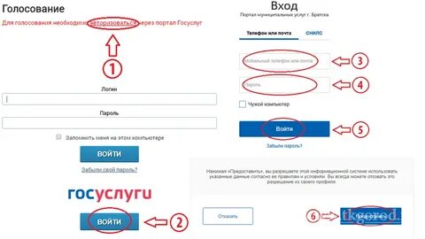 Регистрация нового автомобиля через госуслуги 2024