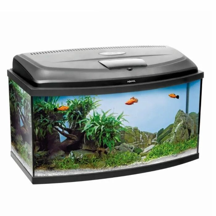 Aquael аквариум 30. Аквариум Aquael Classic Pao 100 / 170л. Аквариум Aquael Nano Reef Duo. Аквариум Aquael aqua4 Family 80 фигурный 102 л.