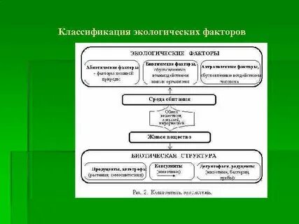 Классификация экологических понятий
