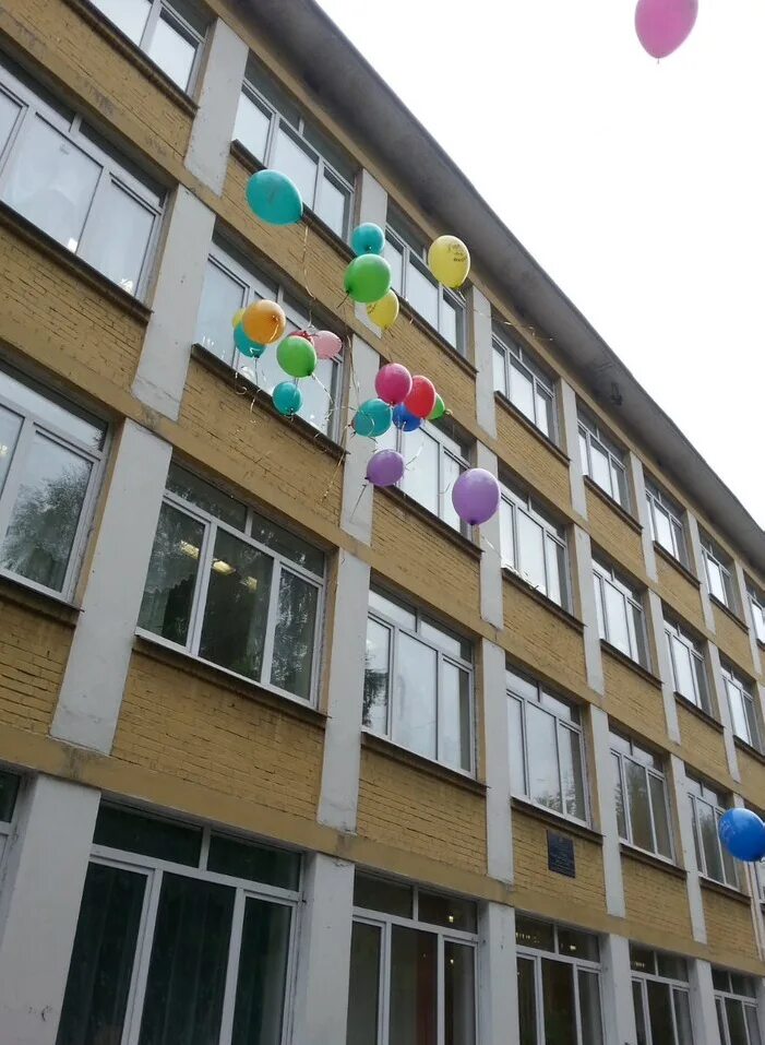 Общеобразовательное учреждение это. Сайт школы 143 екатеринбурга. Школа 143 екатеринбург. Школа 143 екатеринбург. Школа 143 екатеринбург.