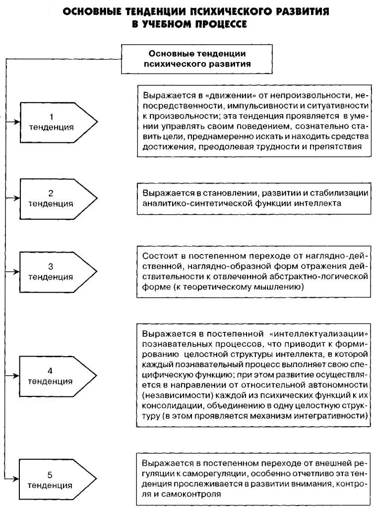 Познавательные процессы и их формирование